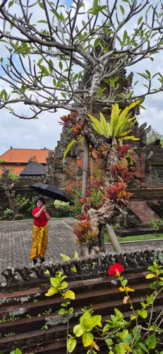 Photo from Indonesia