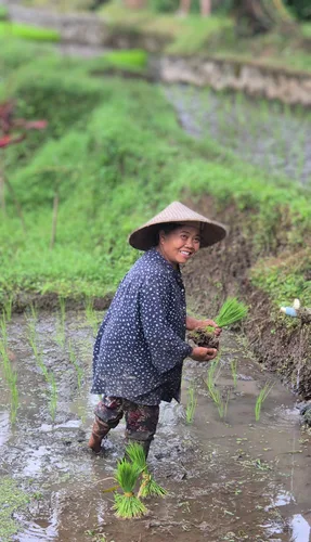 Photo from Indonesia