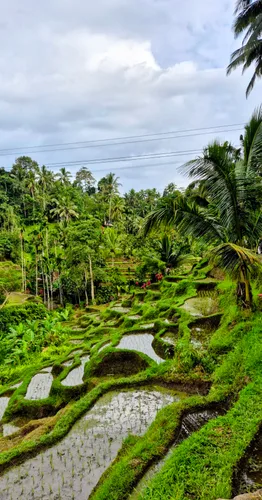 Photo from Indonesia