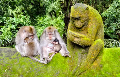 Photo from Indonesia