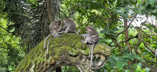 Photo from Indonesia