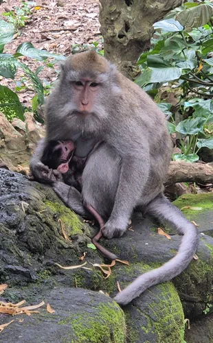 Photo from Indonesia