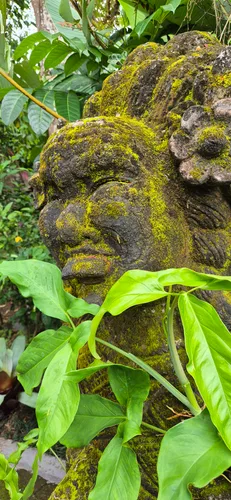 Photo from Indonesia