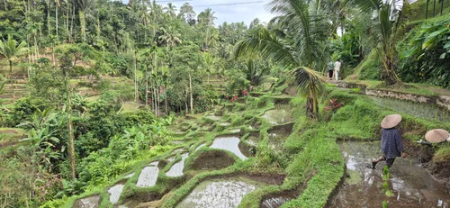 Photo from Indonesia