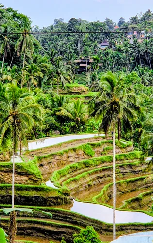 Photo from Indonesia