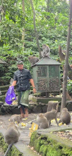 Photo from Indonesia