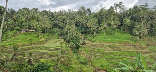 Photo from Indonesia