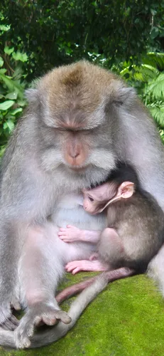 Photo from Indonesia
