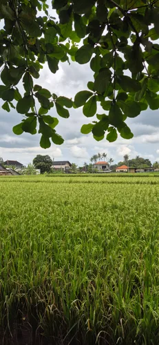 Photo from Indonesia