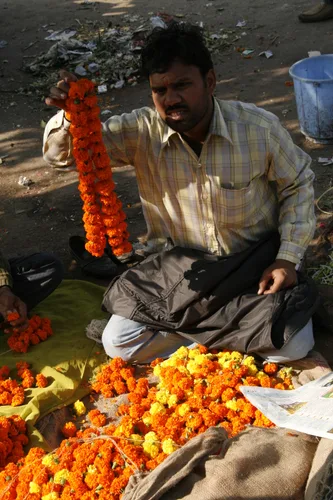 Photo from India