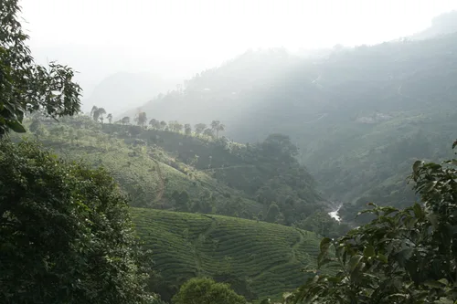 Photo from India