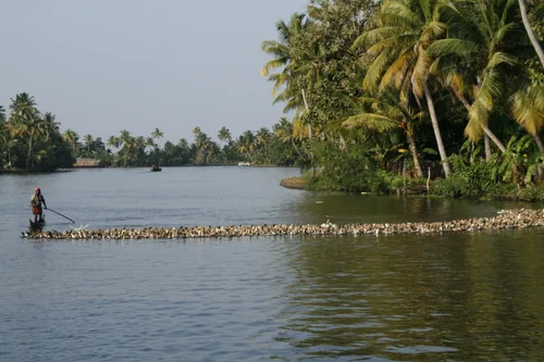 Photo from India