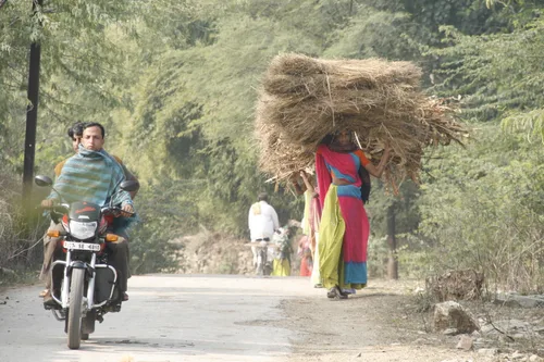 Photo from India