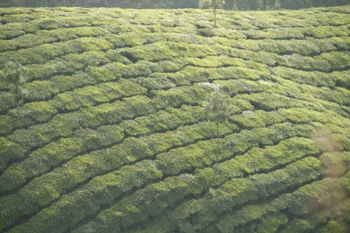 Photo from India