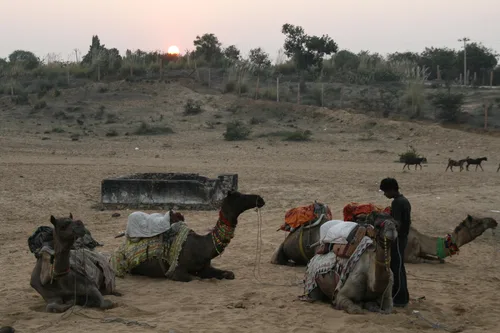 Photo from India