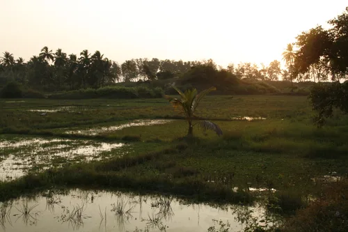 Photo from India