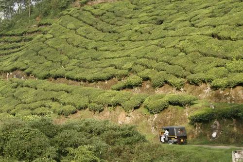 Photo from India