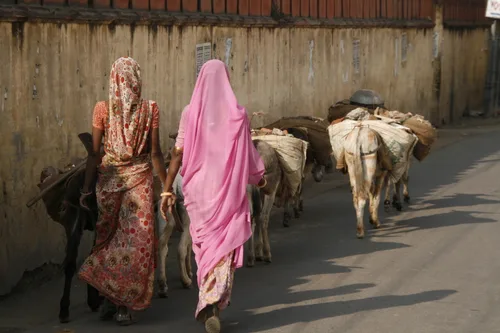 Photo from India