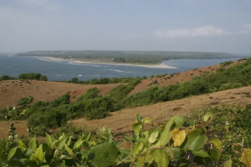 Photo from India