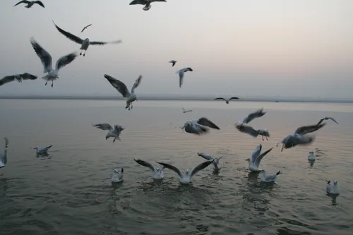 Photo from India