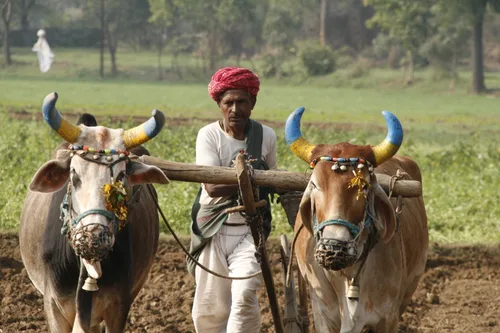 Photo from India