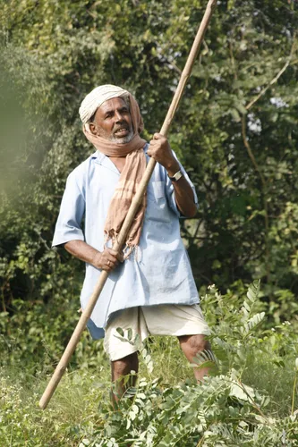 Photo from India