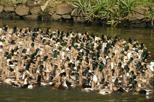 Photo from India