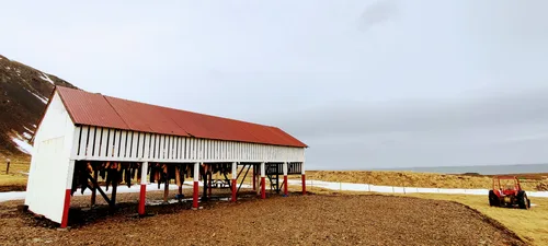 Photo from Iceland