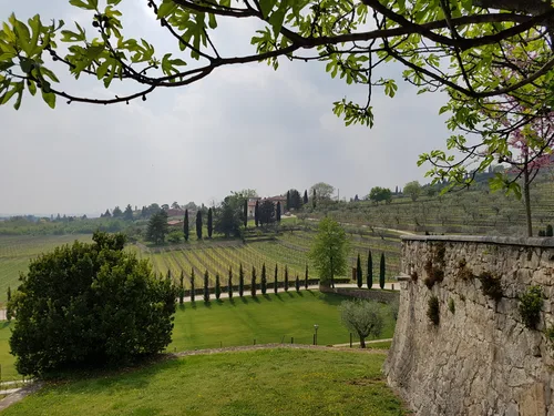 Photo from Italy