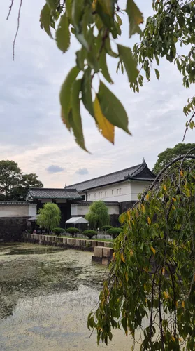 Photo from Japan