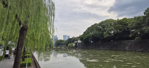 Photo from Japan