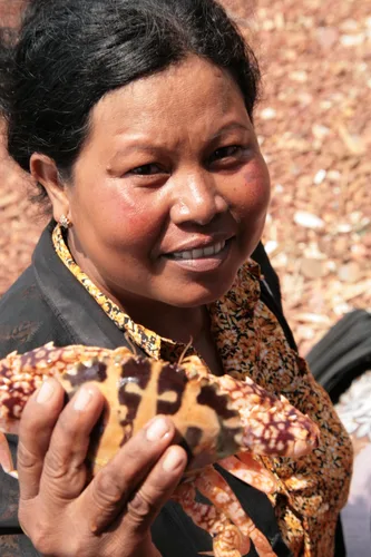 Photo from Cambodia