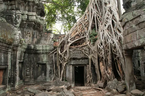 Photo from Cambodia