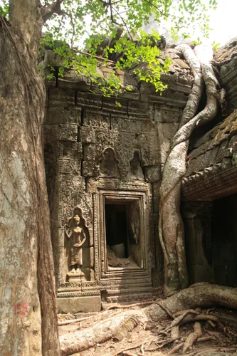 Photo from Cambodia
