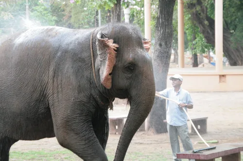 Photo from Cambodia