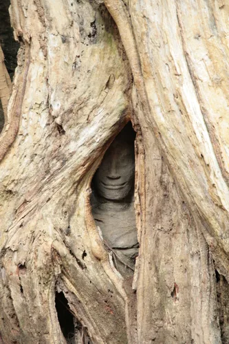 Photo from Cambodia