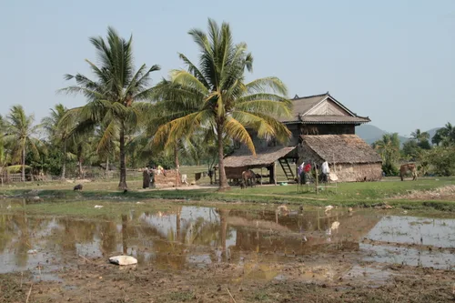 Photo from Cambodia