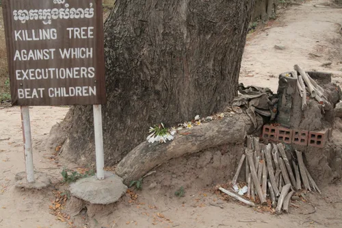 Photo from Cambodia