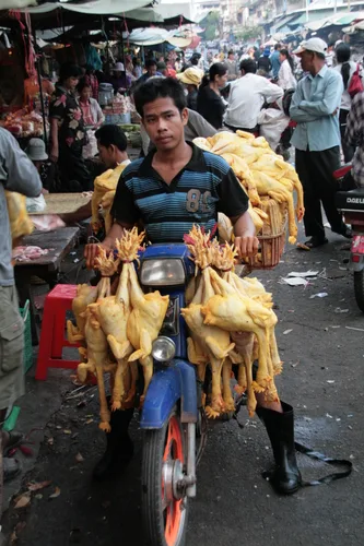 Photo from Cambodia