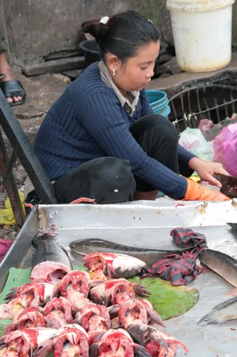 Photo from Cambodia