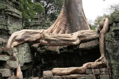Photo from Cambodia