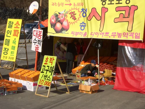 Photo from South Korea