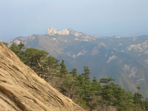 Photo from South Korea
