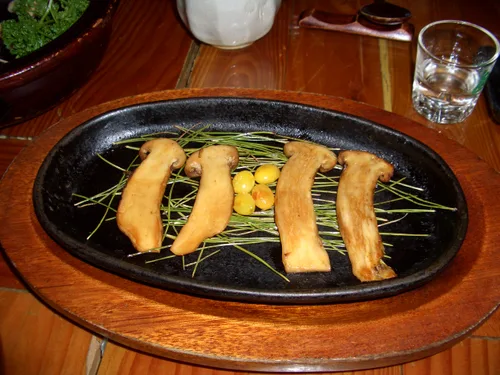 Photo from South Korea