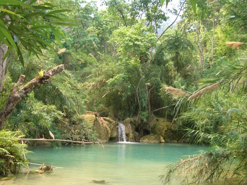 Photo from Laos
