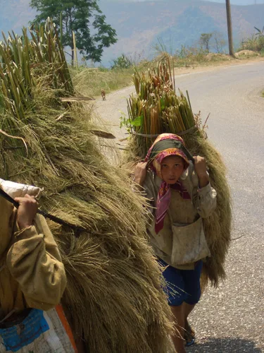 Photo from Laos