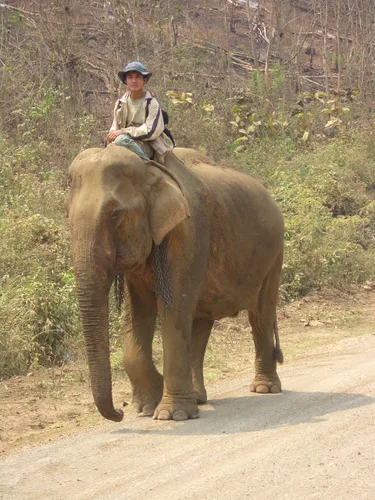 Photo from Laos