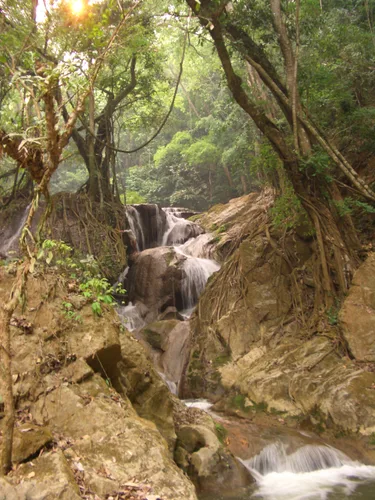 Photo from Laos