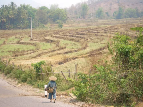Photo from Laos