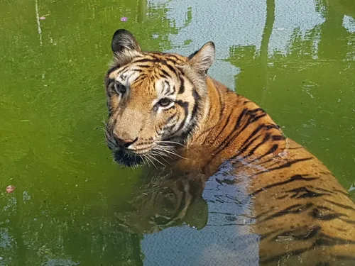 Photo from Sri Lanka